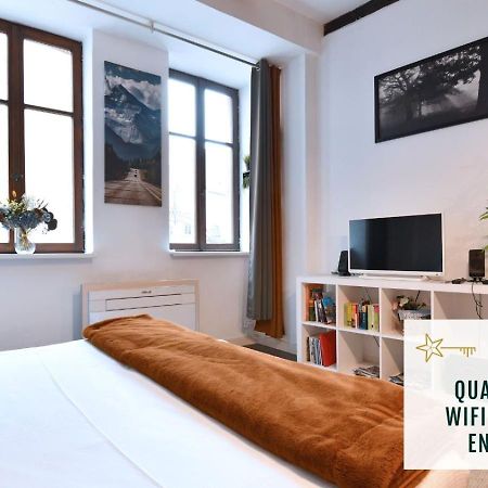 Gite See You Soon - Le Loft Colmar Ngoại thất bức ảnh